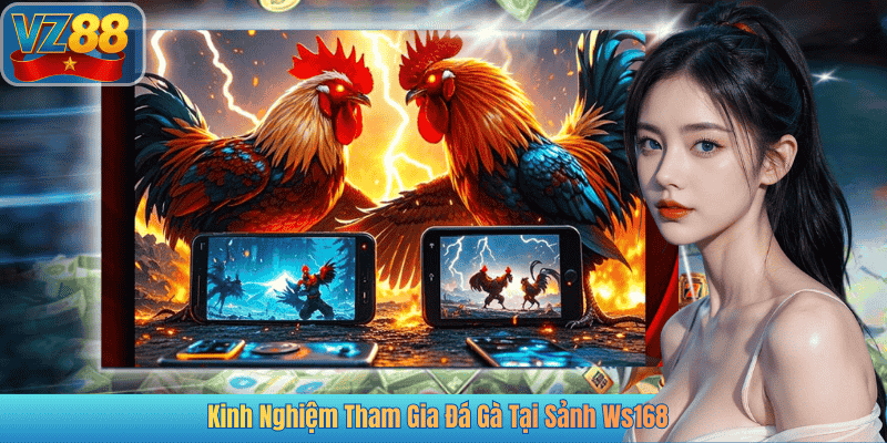 Kinh Nghiệm Tham Gia Đá Gà Tại Sảnh Ws168