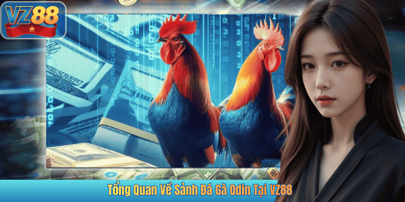 Tổng Quan Về Sảnh Đá Gà Odin Tại VZ88