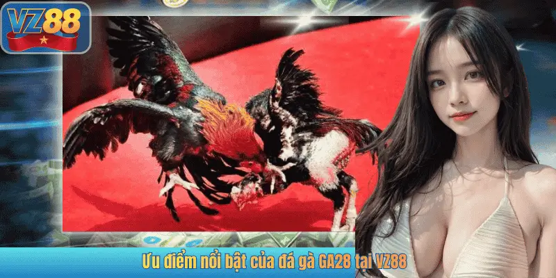 Ưu điểm nổi bật của đá gà GA28 tại VZ88